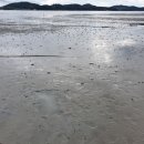 호동바닷가가든 이미지