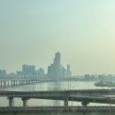 구자춘참치 이미지