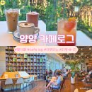 상상나무작은도서관 | 양양 하조대 카페로그 숲 속 작은 도서관