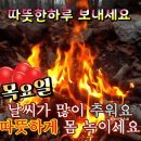 김프로