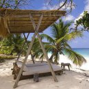 지상낙원 이미지