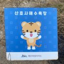 하고수동 탈의장 | 뚜벅 뚜벅 우도 여행 - 우도순환버스 후기 및 총정리 🚎