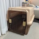 옐로우 켄넬 | 유기견 입양 후기 2 | 강아지 입양 준비물 (+ 짧은 리뷰)