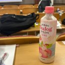 씨유 강원대 60주년 기념관점 | [미래내일일경험] 마케팅 사전 직무 교육(+수당, 일정, 근처 식당)