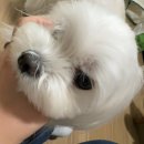 9월 1