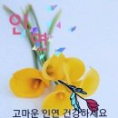 해피천 이미지