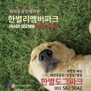 리멤버파크 이미지