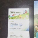 알펜시아스포츠파크