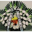 대국화원 이미지