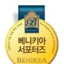 베니키아아리울관광호텔 이미지