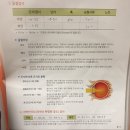 새빛안경점 | 새빛안과 스마일라식 검사 후기 + 백석 스시어왕