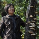 쥐눈이콩마을 이미지