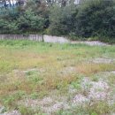 파평주유소 이미지