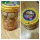 거북애견 이미지