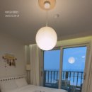 비비오네 이미지