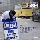 능수정 이미지