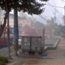 대티 Daum카페