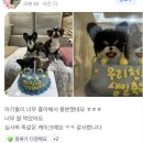 댕까댕까