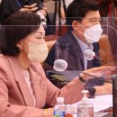 동일태양광발전소 이미지