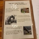 명가본우동 이미지