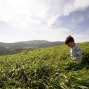 똘똘이 목장 이미지