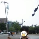 솔휘트니스 이미지