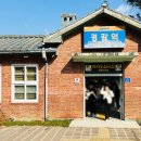 신비바이크 | 가평 여행 레일파크 레일바이크 주차 등 후기