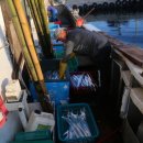 제주생갈치 이미지