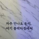 플레타짐 이미지