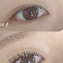 씨엘로 래쉬