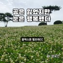 추억만들기Ⅰ민박 | 충북 증평 블랙스톤 벨포레CC 6월 명랑골프 1박2일 라운딩 후기Ⅰ코스 난이도 그린 스피드 솔직 리뷰