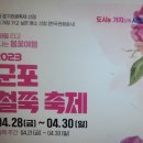 군포철쭉 이미지