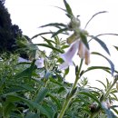 달맞이농장 이미지