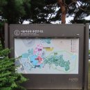 서울대공원 입구 해바라기, 무궁화꽃 등 이미지
