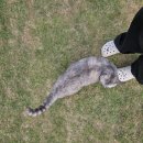 도암스테이 이미지