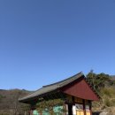 신안사 | 고양이천국 신안사 템플스테이 후기