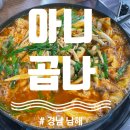 아니;곱나