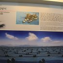 광양 김 시식지 이미지