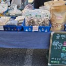 굼앤머쉬 네이버블로그