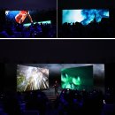 프리젠테크 | 8K 시대를 여는 세계 최초 QLED 8K TV 추천, Q LIVE에서 만난 삼성 QLED 8K의 압도적인 화질에 반하다.
