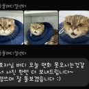 버디메디칼 이미지