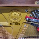 화명대로 94번길 이미지