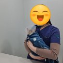 서창사랑동물의료센터 이미지