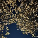 지에스(GS25)강북한천점 이미지