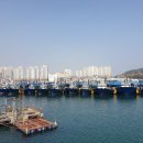 방어진낚시 이미지