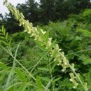 고삼농장 이미지