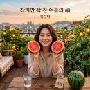 초가유통 | 1인 가구 취향 저격! '복수박' 특징, 수확시기, 고르는법(내돈내산 후기)