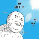 🔥 보홀 반딧불이 투어, 이 정보 안 보고 갔다간 2배 손해 봅니다!