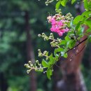 온양민속박물관 이미지