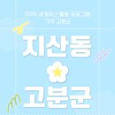 [후기] 지난 3월, 대가야의 심장 고령 지산동 고분군을 누비다! 현장 스케치 🏺✨